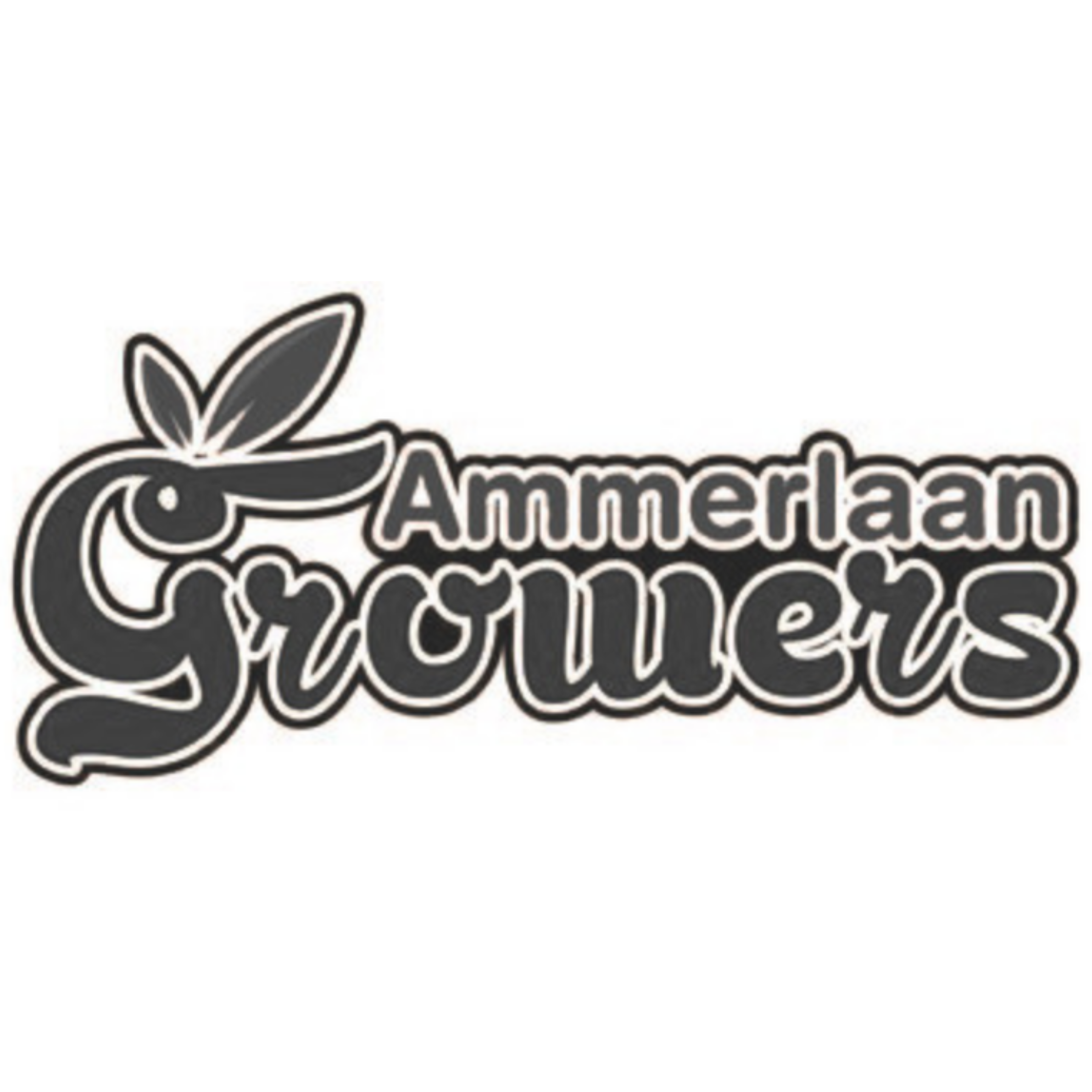 AmmerlaanGrowers_vierkant.png