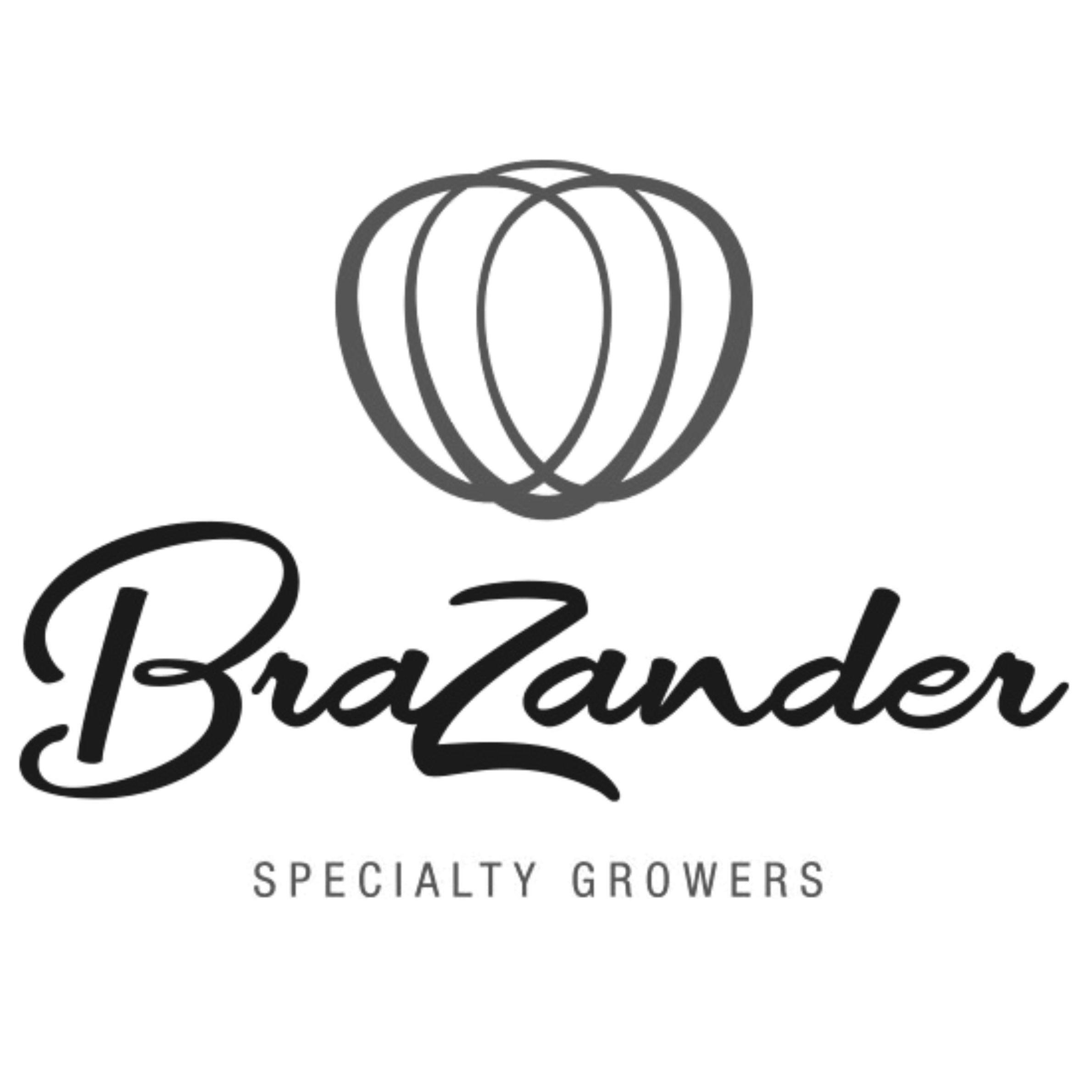 Brazander_vierkant.png
