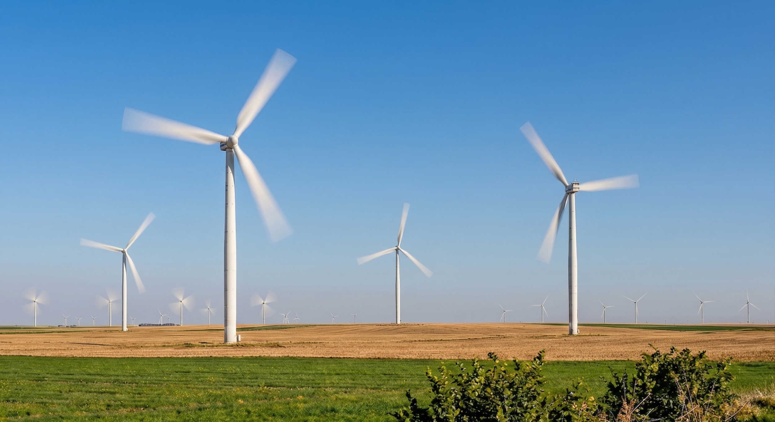 Windmolens in weiland